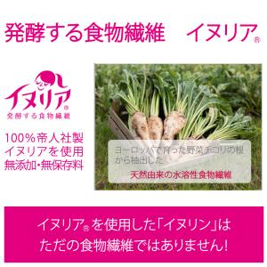 イヌリン 2kg(1kg×2袋) 帝人イヌリア...の詳細画像5