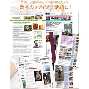 コンブチャエンザイムパウダー200g(約30杯...の詳細画像5
