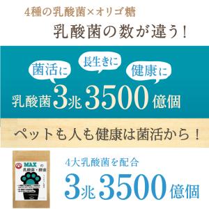 『MAXの乳酸菌 酵素』ペットサプリ乳酸菌数3...の詳細画像3