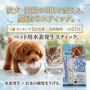 容器がプラに!お得な3本セット 150L用 ペ...の詳細画像4