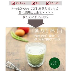 プロテイン青汁 プレミアム 300g 人工甘味...の詳細画像3