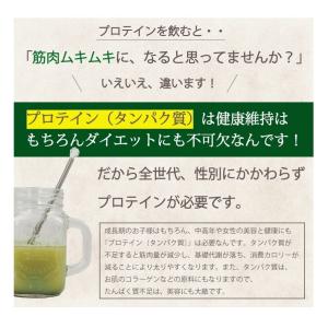 プロテイン青汁 プレミアム 300g 人工甘味...の詳細画像4