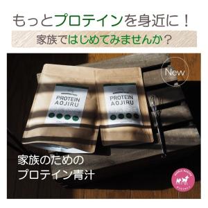 プロテイン青汁 プレミアム 300g 人工甘味...の詳細画像5