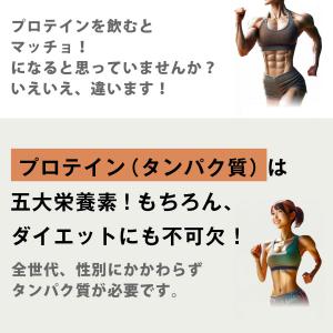 【お徳用2個セット】ボタニカル ソイプロテイン...の詳細画像3