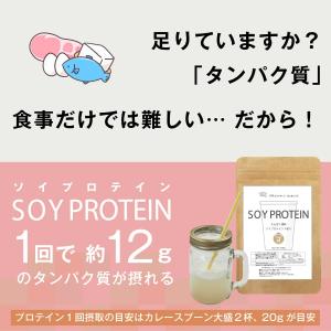 【お徳用2個セット】ボタニカル ソイプロテイン...の詳細画像4