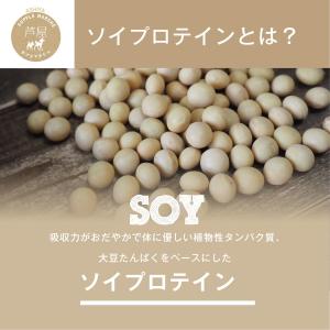 【お徳用2個セット】ボタニカル ソイプロテイン...の詳細画像5