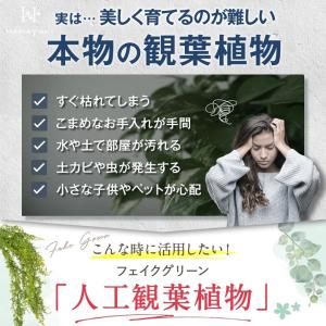 HANAYUKI フェイクグリーン ザミフォー...の詳細画像5