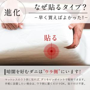 ＼ヤフー1位/＼長崎県立大学と共同研究/ 1箱...の詳細画像5