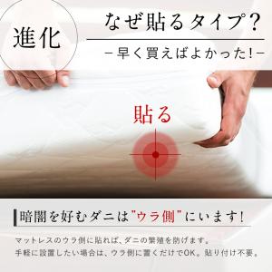 ＼ヤフー1位/＼長崎県立大学と共同研究/ 1箱...の詳細画像5