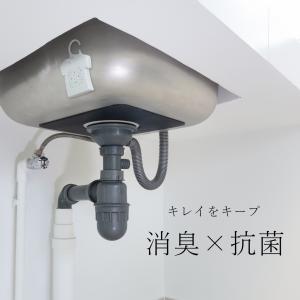＼ヤフー1位/＼長崎国際大学と共同研究/＼1箱...の詳細画像5