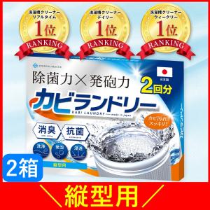 【強力洗浄】【2箱4回分 / 縦型用】 洗濯槽クリーナー 洗濯機 カビ取り カビ防止 カビ 予防 カビ対策 消臭 抗菌 除菌 掃除 除去 洗剤 過炭酸ナトリウム｜supplement-life