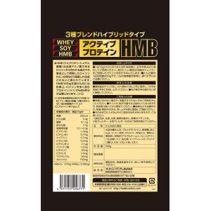 1日60円 HMB ホエイ ソイ アクティブプ...の詳細画像3