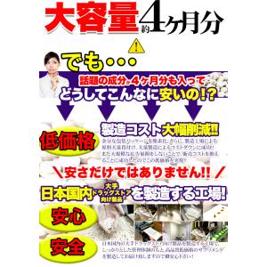 1日7円で美ボディ HMB BCAA 筋肉系サ...の詳細画像4