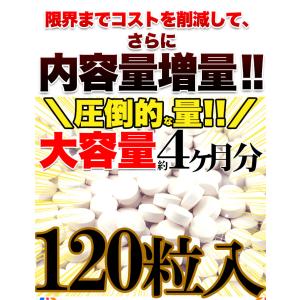 1日7円で美ボディ HMB BCAA 筋肉系サ...の詳細画像5