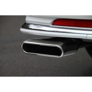 BLITZ（ブリッツ） マフラー ニュルスペック VSR オデッセイ DBA-RC1