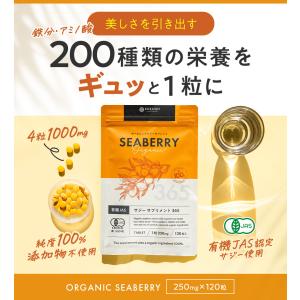 サジー サプリ リンゴ酸 鉄分 サプリ 無添加...の詳細画像1