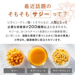 サジー サプリ リンゴ酸 鉄分 サプリ 無添加...の詳細画像2