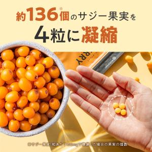 サジー サプリ リンゴ酸 鉄分 サプリ 無添加...の詳細画像4