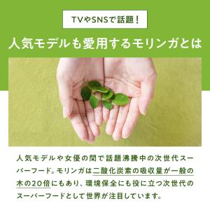 モリンガパウダー 100g 青汁 有機 オーガ...の詳細画像3