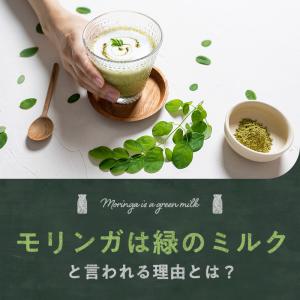モリンガパウダー 100g 青汁 有機 オーガ...の詳細画像4