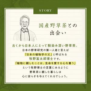 韃靼そば茶 無農薬 国産 5g×50包 ティー...の詳細画像3