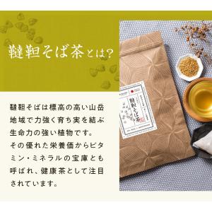 韃靼そば茶 無農薬 国産 5g×50包 ティー...の詳細画像5