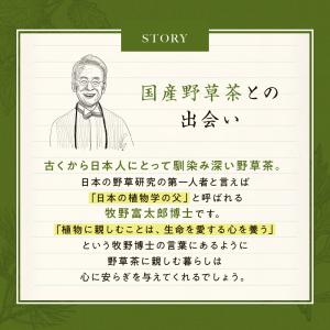 ひし茶 1g×30包 30g 国内製造 ヒシ茶...の詳細画像4