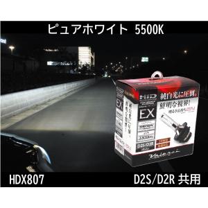 カーメイト（CARMATE） GIGA 純正交換H.I.D.バーナー エアースカイ D4R