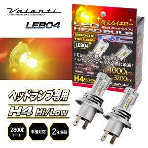 RACING GEAR（レーシングギア） RG POWER LED 小型LEDヘッドバルブ RGH