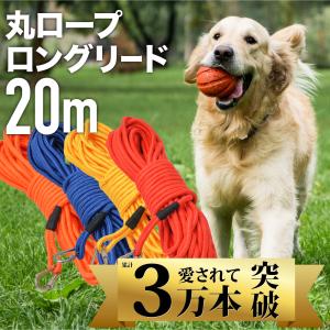 【大好評３万本突破】ロングリード 20m まとめやすい 丸ロープ カラフル 丈夫 外れにくい ナスカン 絡まない 大型犬 中型犬