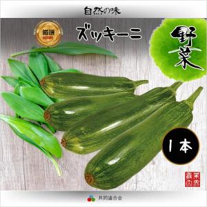 冷蔵食品　カボチャ ズッキーニ　1本　エホバック