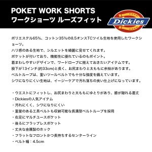 DICKIES ディッキーズ スケートボーディ...の詳細画像1