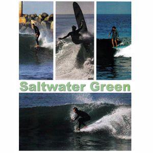 サーフィンDVD ロング ジェレミー・ブリッグス カリフォルニア/Saltwater Green ソルトウォーター・グリーン｜surfer