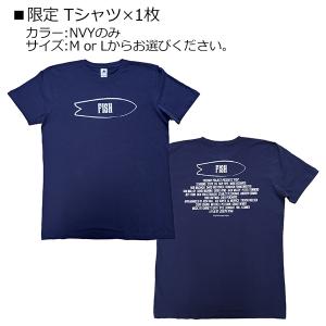 サーフィン DVD ドキュメンタリー フィッシ...の詳細画像2