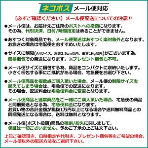 FUWAX フーワックス サーフィン ブラジル...の詳細画像5