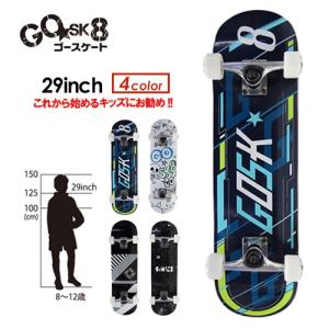 SECTOR9 セクターナイン スケートボード コンプリート/MiniSeries JOEL