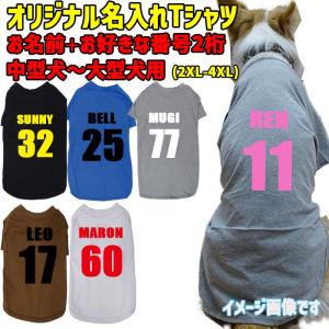 愛犬の名入れが出来る 背番号 犬用Tシャツ 犬服 中型犬〜大型犬 2XL〜4XL 6色展開 プリントカラーは10色 メール便送料無料 【返品、交換、キャンセル不可】｜surfingworld