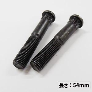 SW オリジナル KING PIN NUTS ...の詳細画像1