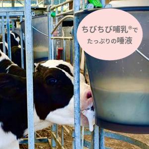 【哺乳器具/新製品】ミルク・バ- バケツ1 乳...の詳細画像5