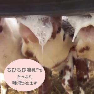 【ちびちび哺乳推奨】 ミルク・バー 乳首 (黒...の詳細画像1