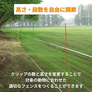 【電気柵支柱・ポール】ガラガー グラファイポー...の詳細画像2