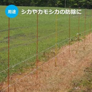 【電気柵支柱・ポール】ガラガー グラファイポー...の詳細画像4