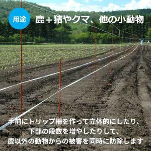 【電気柵支柱・ポール】ガラガー グラファイポー...の詳細画像5