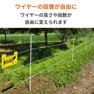 【電気柵・ワイヤー架線に】クイッククリップ12...の詳細画像3