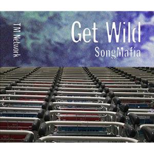 CD/TM NETWORK/Get Wild Song Mafia【Pアップ