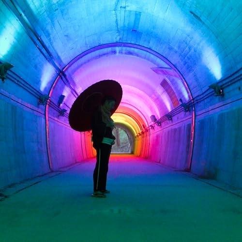 【取寄商品】CD/田口英/消えた太陽