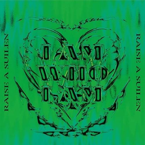 【取寄商品】CD/RAISE A SUILEN/I AM WHO I AM (通常盤)