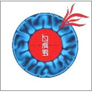 カービング系DVDHOW-TO 最新作 CARVING Tecnique5 越博&中本優子 最新