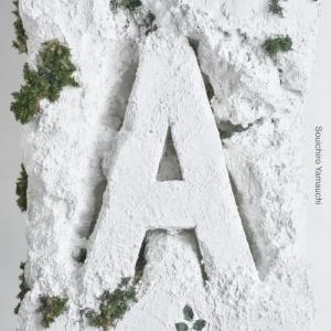 ▼CD/山内総一郎/A (CD+DVD(スマプラ対応))｜surpriseflower