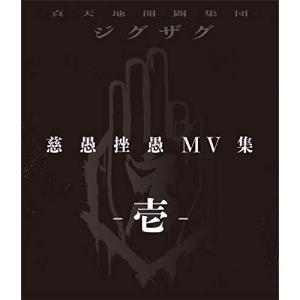 真天地開闢集団-ジグザグ P0WER-悪霊退散- ［CD+DVD］＜初回限定